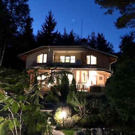 Luxury Villa Borina Zheleznitsa Bagian luar foto
