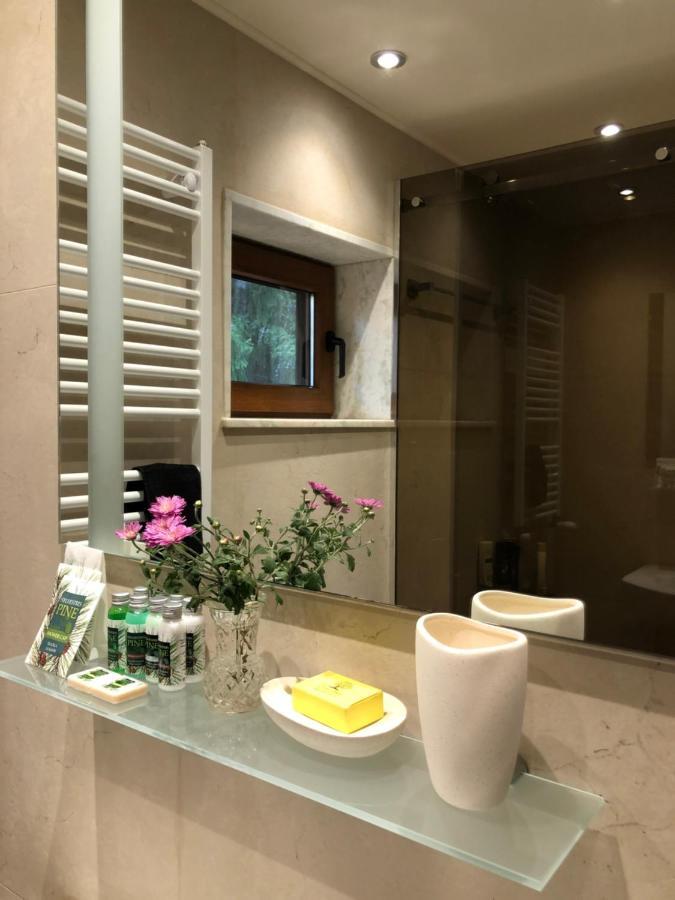 Luxury Villa Borina Zheleznitsa Bagian luar foto