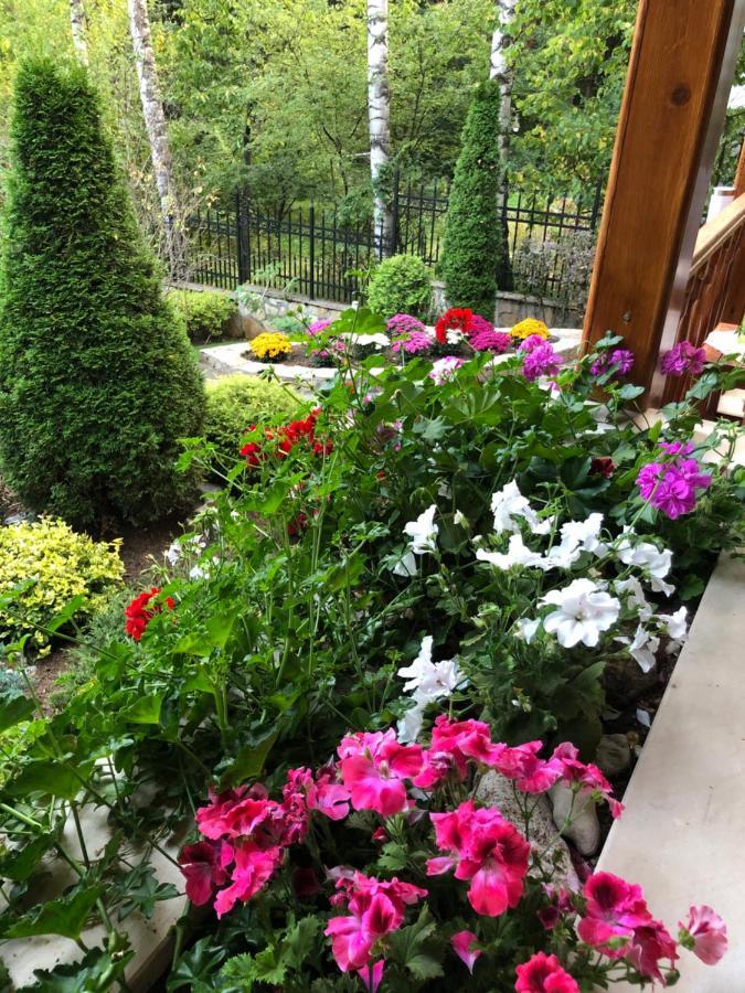 Luxury Villa Borina Zheleznitsa Bagian luar foto