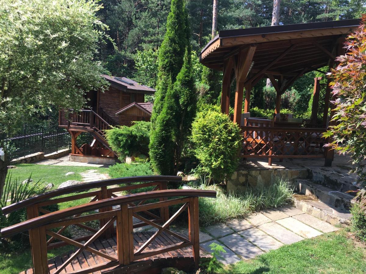 Luxury Villa Borina Zheleznitsa Bagian luar foto