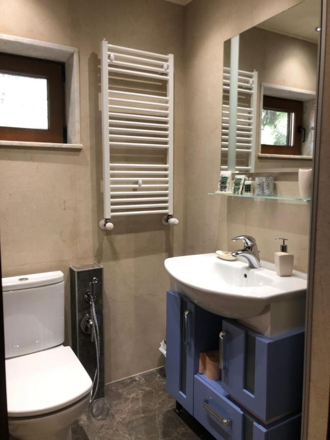 Luxury Villa Borina Zheleznitsa Bagian luar foto