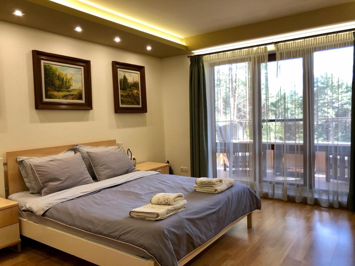 Luxury Villa Borina Zheleznitsa Bagian luar foto
